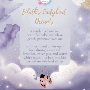 Eilidh’s Ladybird Dreams 🐞💖 - Jammy Time
