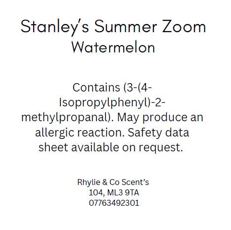 Stanley's Summer Zoom 🏎️💙- Watermelon - Image 4