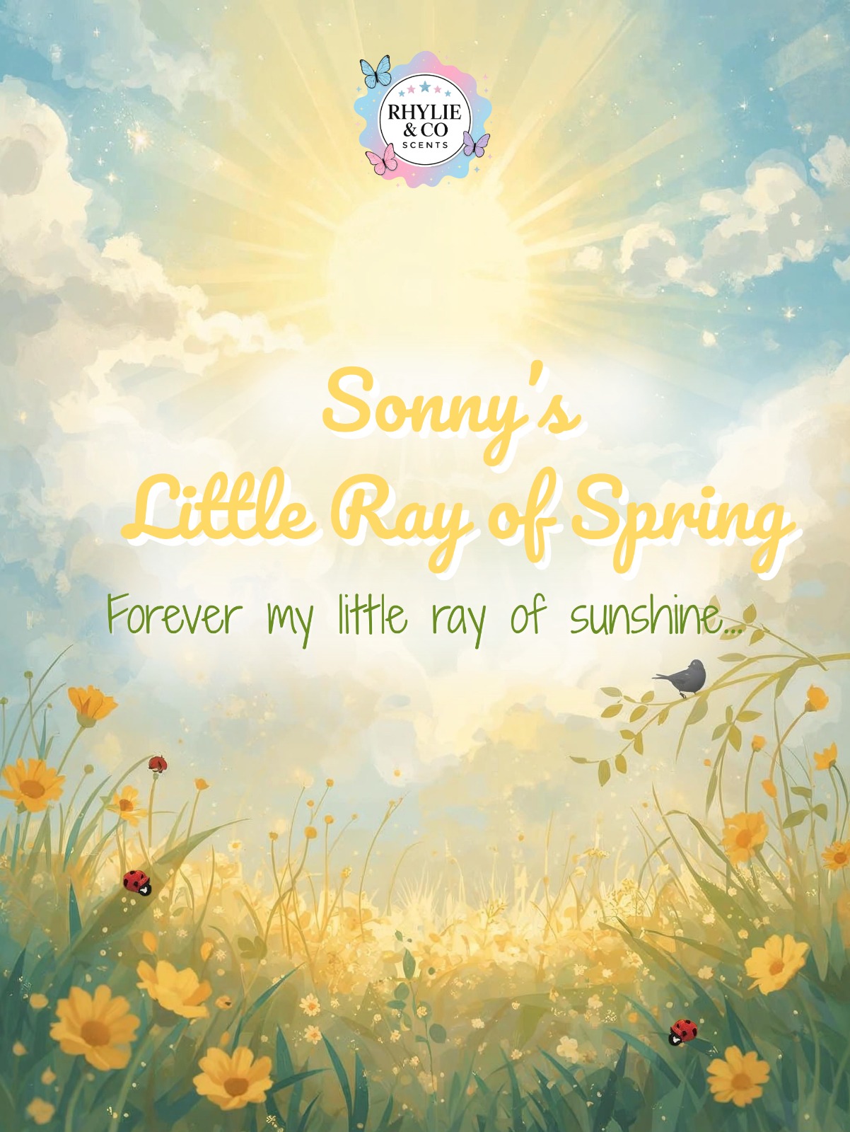 ๐ Sonnyโs Little Ray of Spring โ Spring Noir ๐๐ค๐ฆ๐